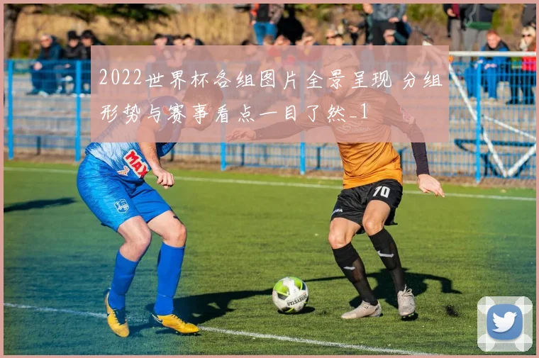 2022世界杯各组图片全景呈现 分组形势与赛事看点一目了然_1