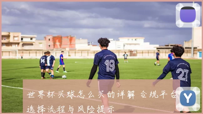 世界杯买球怎么买的详解 合规平台选择流程与风险提示