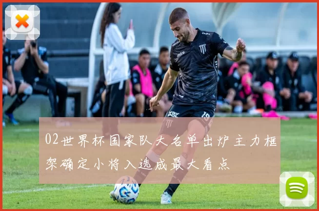 02世界杯国家队大名单出炉主力框架确定小将入选成最大看点